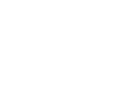 Western Pacific Insurance